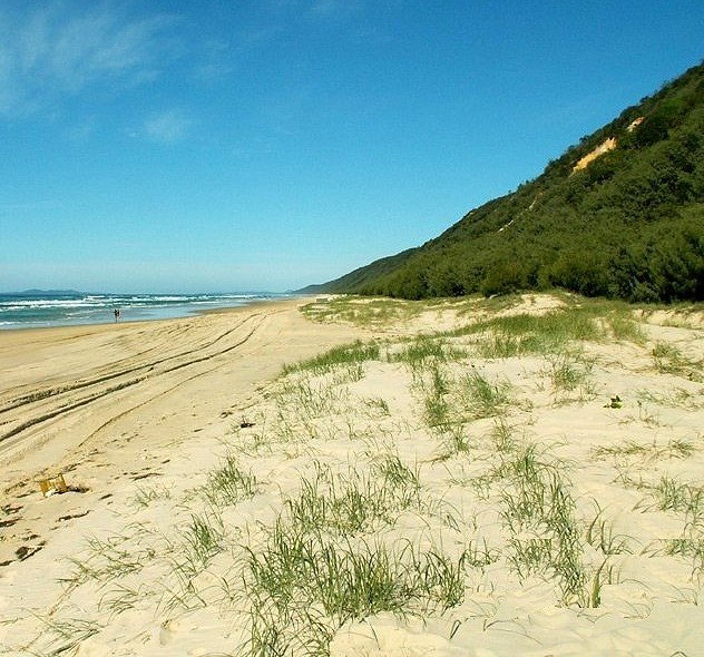 Teewah Beach Camping Zone 1 Amazing Teewah Beach Camping Double Island Point Paradise Australia The Open Camping Area Will Be Divided Into Seven Separate Camping Zones Allowing Campers To Choose