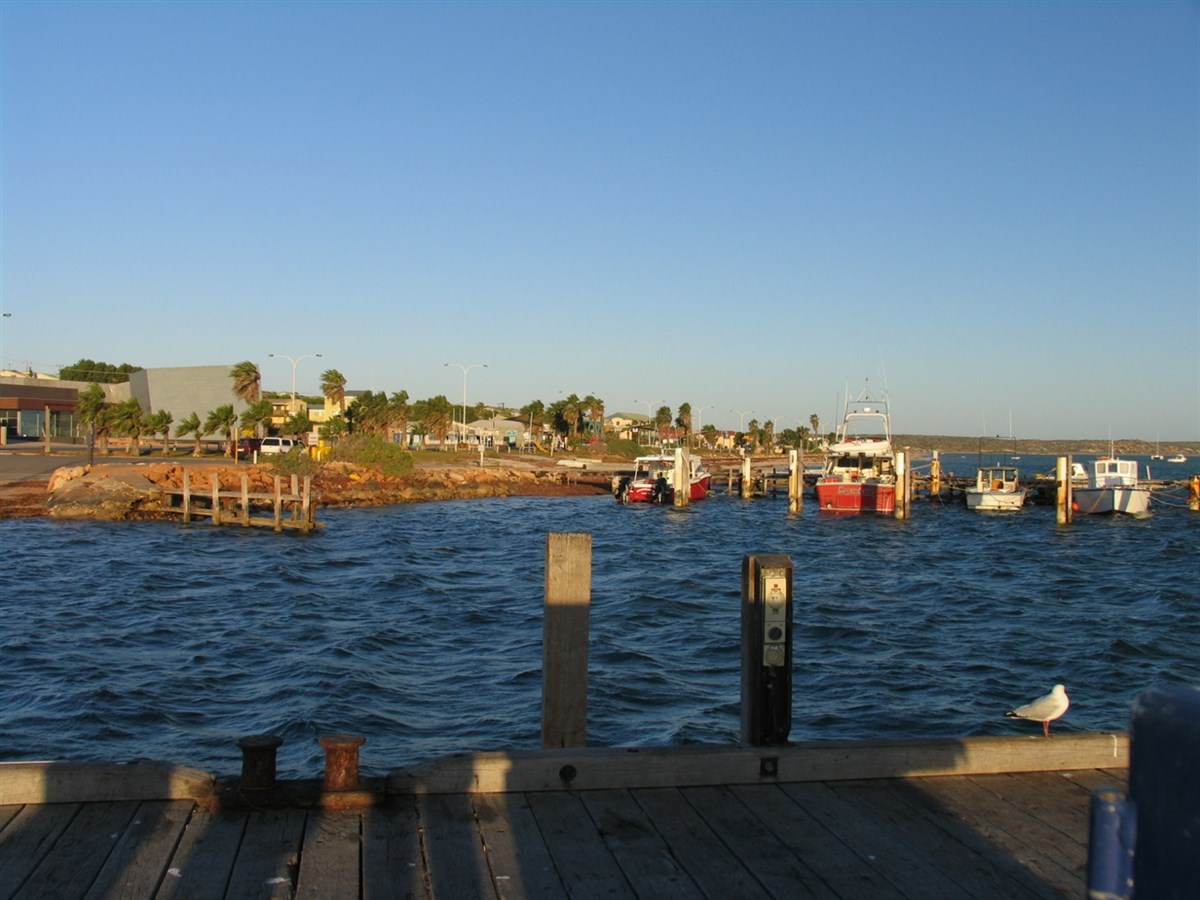 Denham WA ExplorOz Places