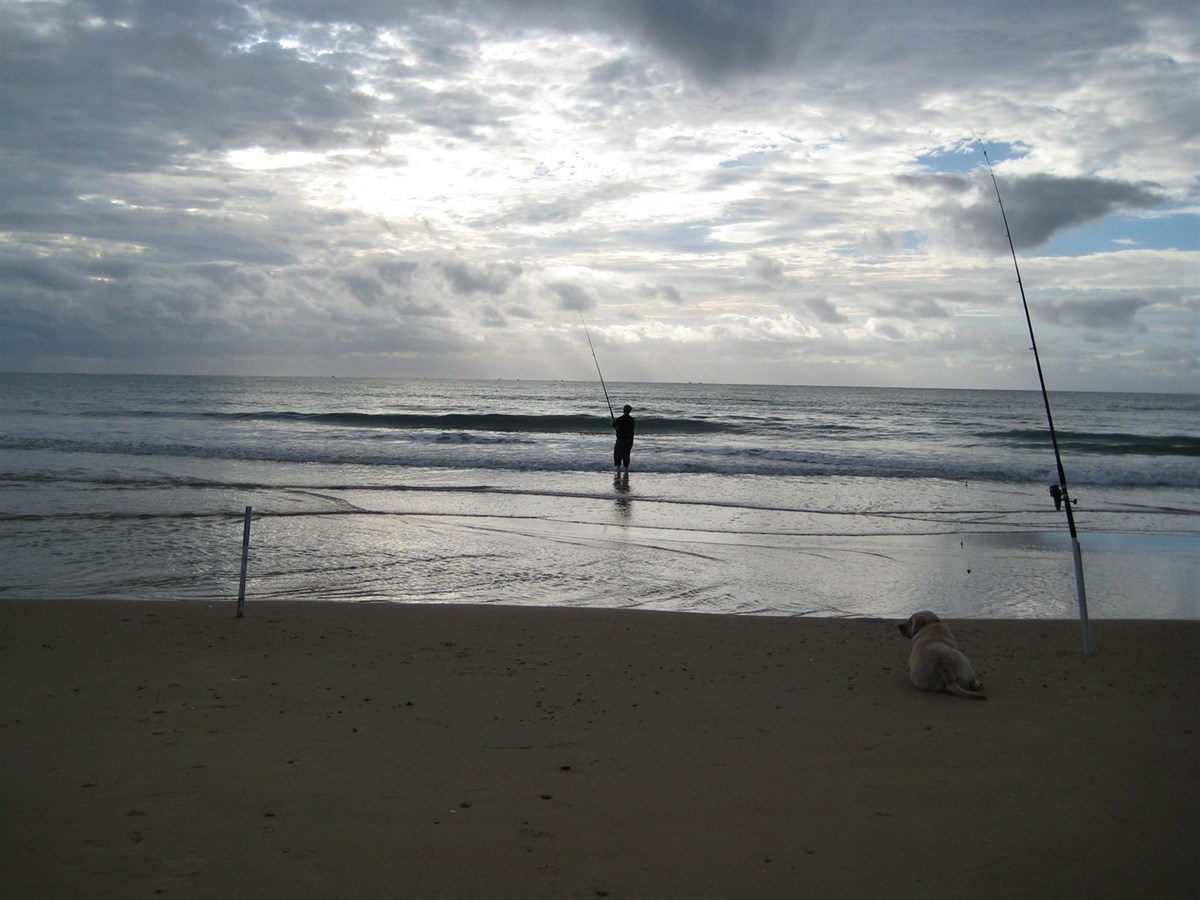 Reeves Beach Coastal Reserve VIC ExplorOz Places
