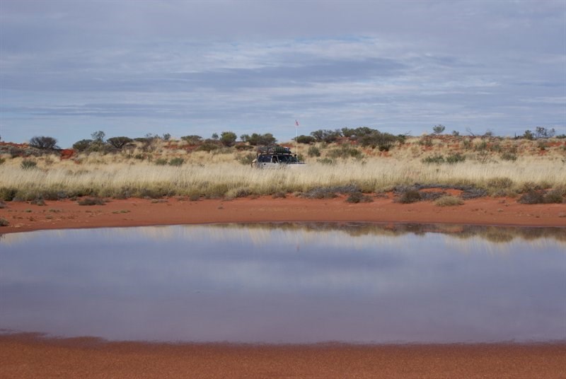 Gibson Desert Lake McKay and dunes to Dwarf Well ExplorOz Blogs