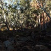 Rudall River - A death march of discovery through the remote Broadhurst Ranges - Part 1