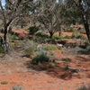 Simpson Desert 2010