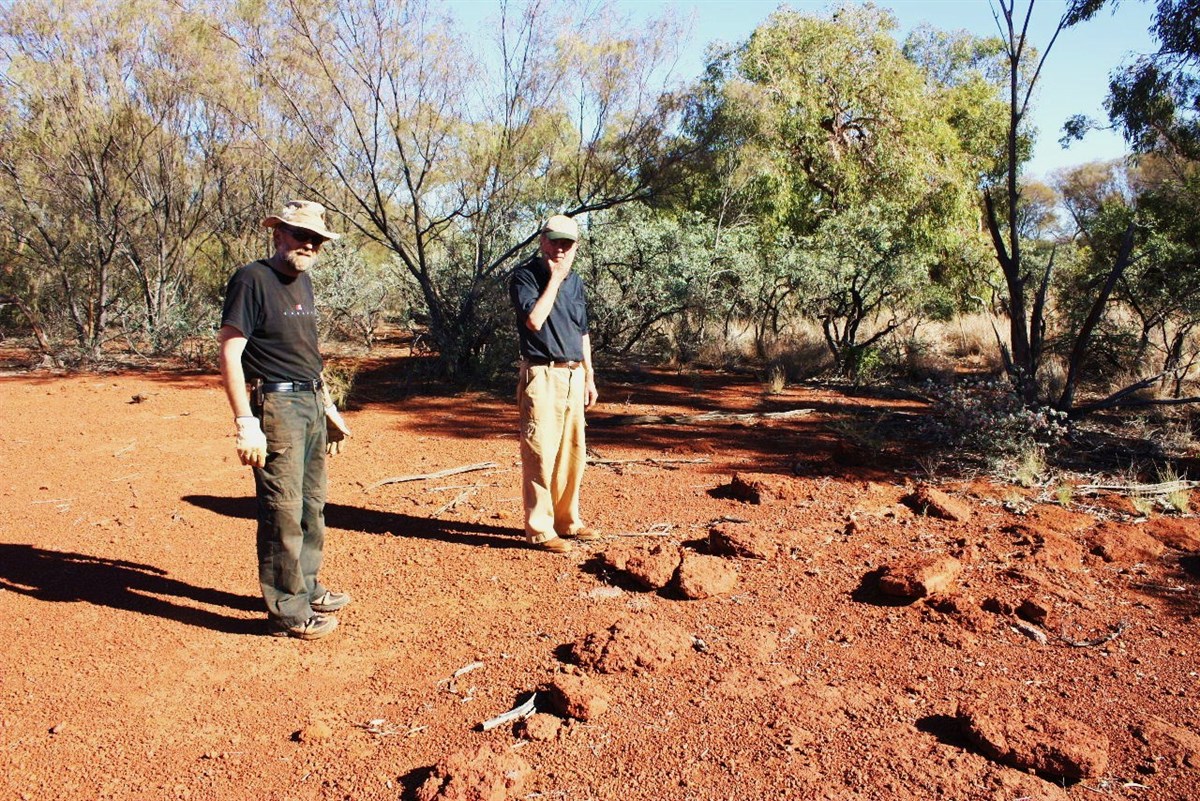 Gibson Desert The crossing is completed! Now the Gary Hwy to Veevers