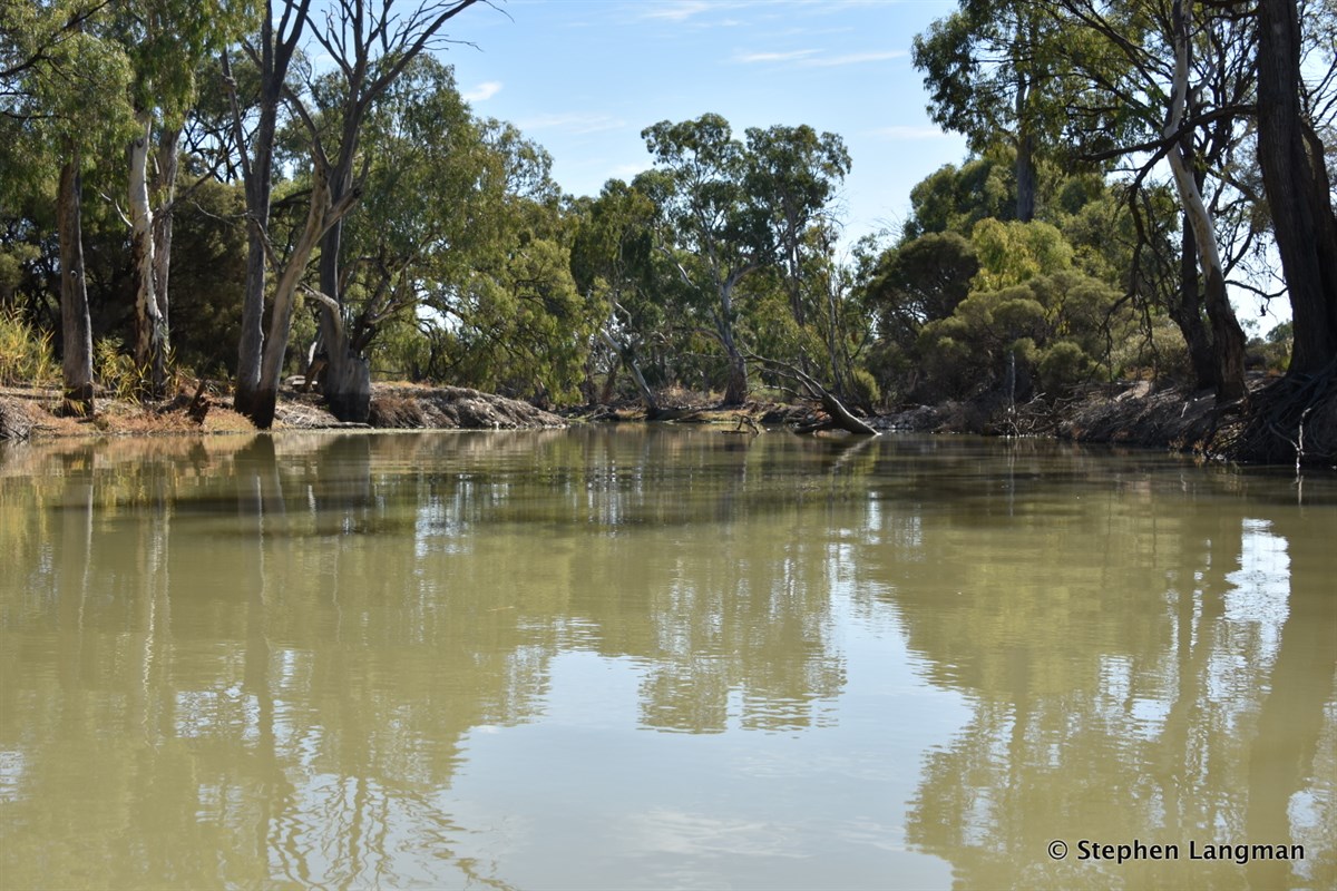 Deep Creek Murray River SA ExplorOz Places