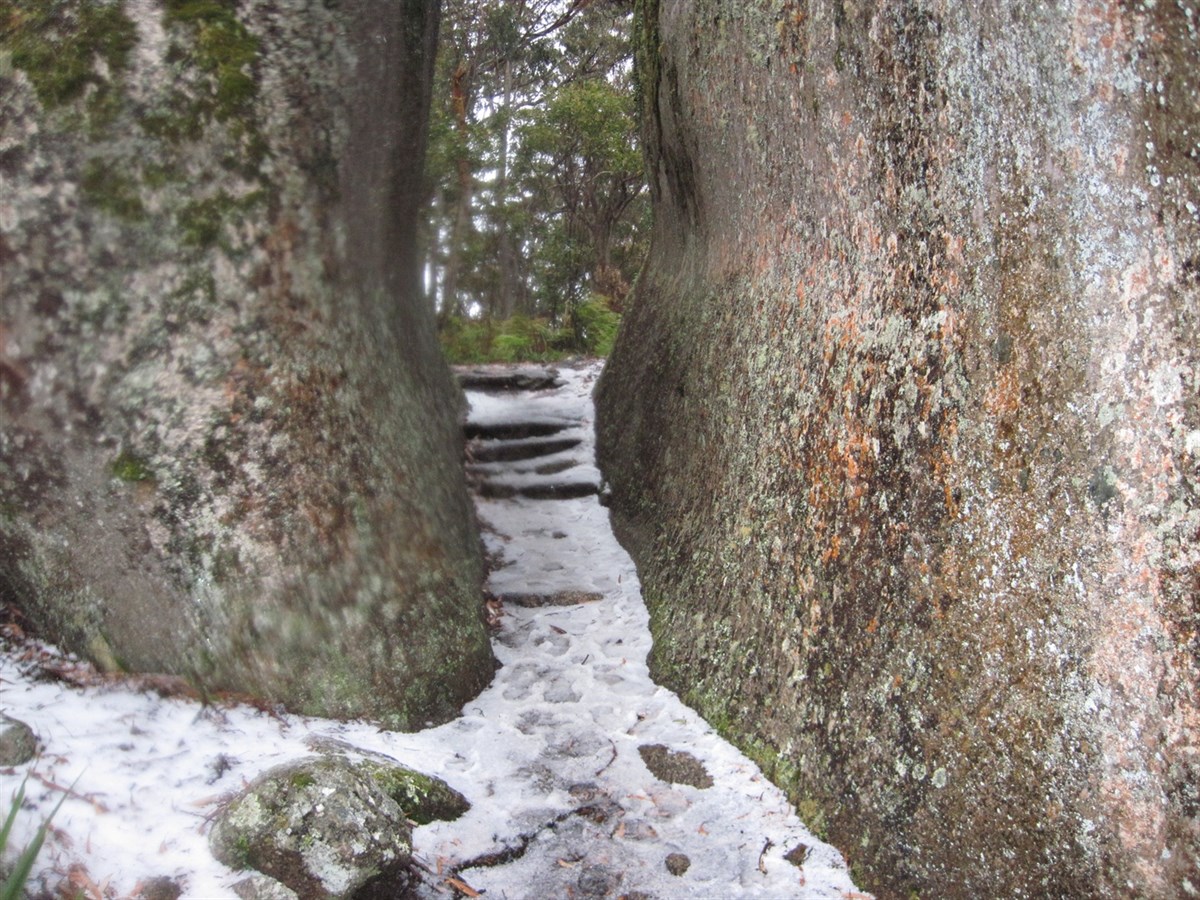Bald Rock National Park NSW ExplorOz Places