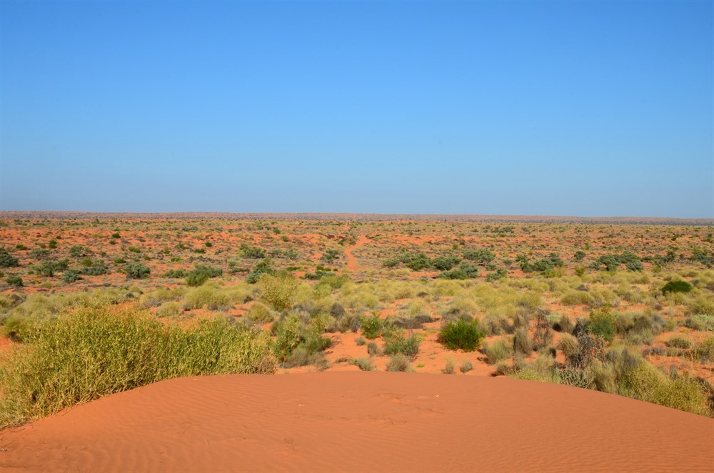 MungaThirri National Park QLD ExplorOz Places