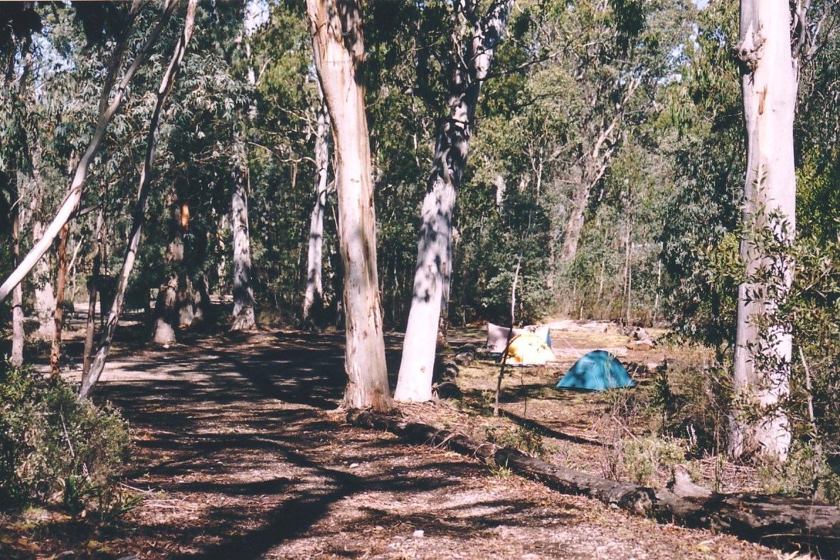 Delegate River Campground VIC ExplorOz Places