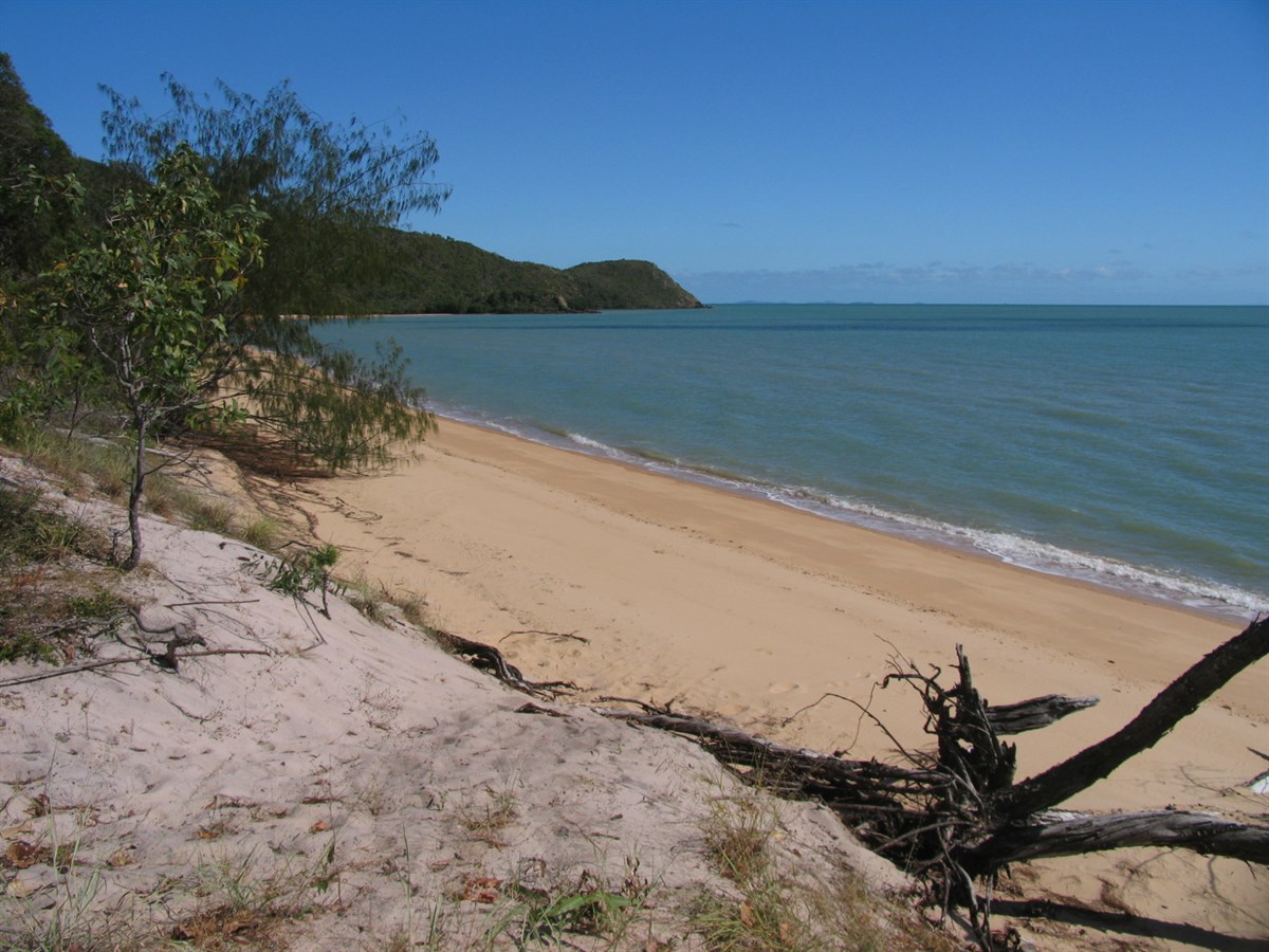 Cable Bay Camp QLD ExplorOz Places