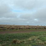Hay plains