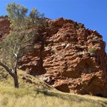 T
Standley Chasm
