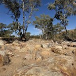 Ellery creek big hole