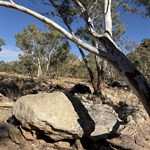 Ellery Big Hole