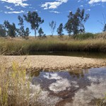 Ormiston waterhole