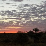 Camped at well 47