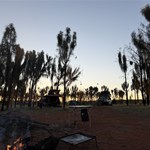 Camping in the She Oaks near well 37