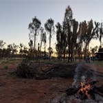 Camping in the She Oaks near well 37
