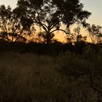 Camp at well 31