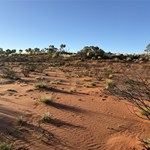 Camp between well 28 and 27