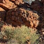 Durba Springs