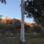 Durba Springs