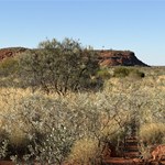 Durba Springs