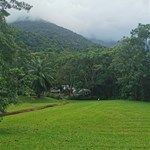 Daintree forest village caravan park, which isn't in the town of daintree. A bit of rain but hopefully that will improve.