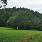 Daintree forest village caravan park, which isn't in the town of daintree. A bit of rain but hopefully that will improve.