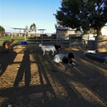 Farm stay with a old farming museum.