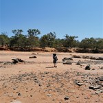 Bird observation Centre on foreshore, migratory birds.