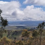 Lake Omeo with lots of water birds.