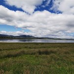 Lake Omeo with lots of water birds.