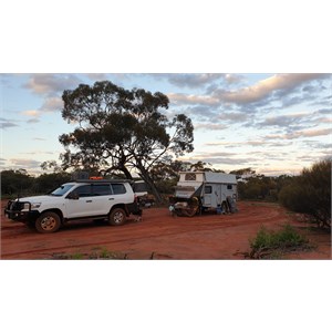 Ninghan Station 2021