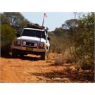 Troll doing its thing on the Anne Beadell HWY