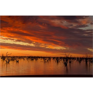 Sunset Menindee Lakes