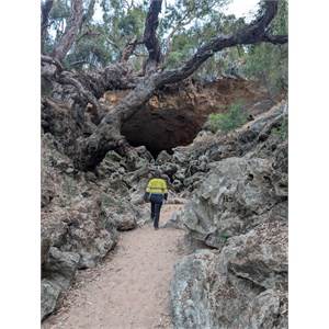 Stockyard Gully Caves