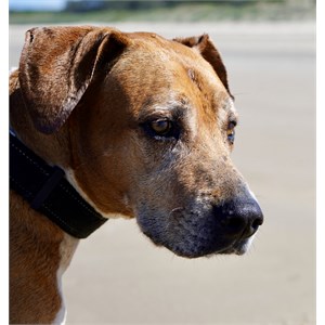 Nassa my old mate Now passed