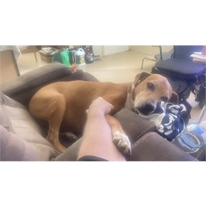 I will always miss you my old friend 