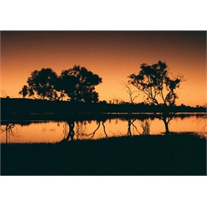Rudall River / Karlamilyi 
