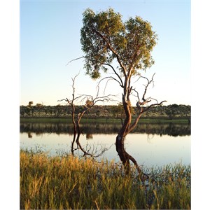 Rudall River / Karlamilyi 