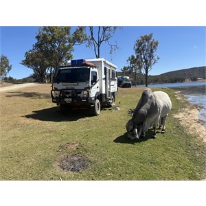 Current Fuso 4*4 Global Explorer