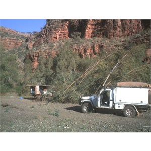 The Ute