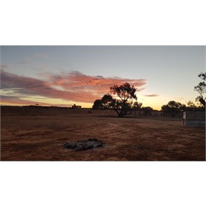 Eringa Sunset