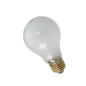 A common 240 volt incandescent bulb