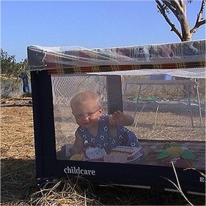 Baby protected by mosquito netting