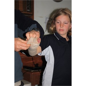 Leave fingers exposed