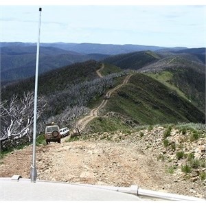 Convoy of 4WDs going down a rough track