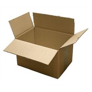 Cardboard box for storage