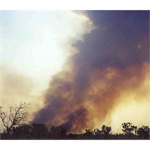 Fire and smoke in the outback