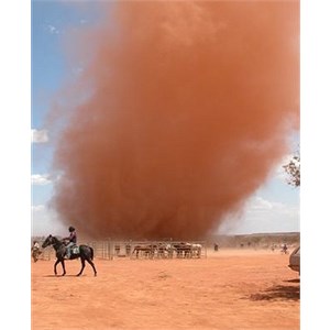 A large willy willy at a horse track. Credit - George
