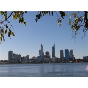 Interesting use of natural foreground element to frame the industrial view.